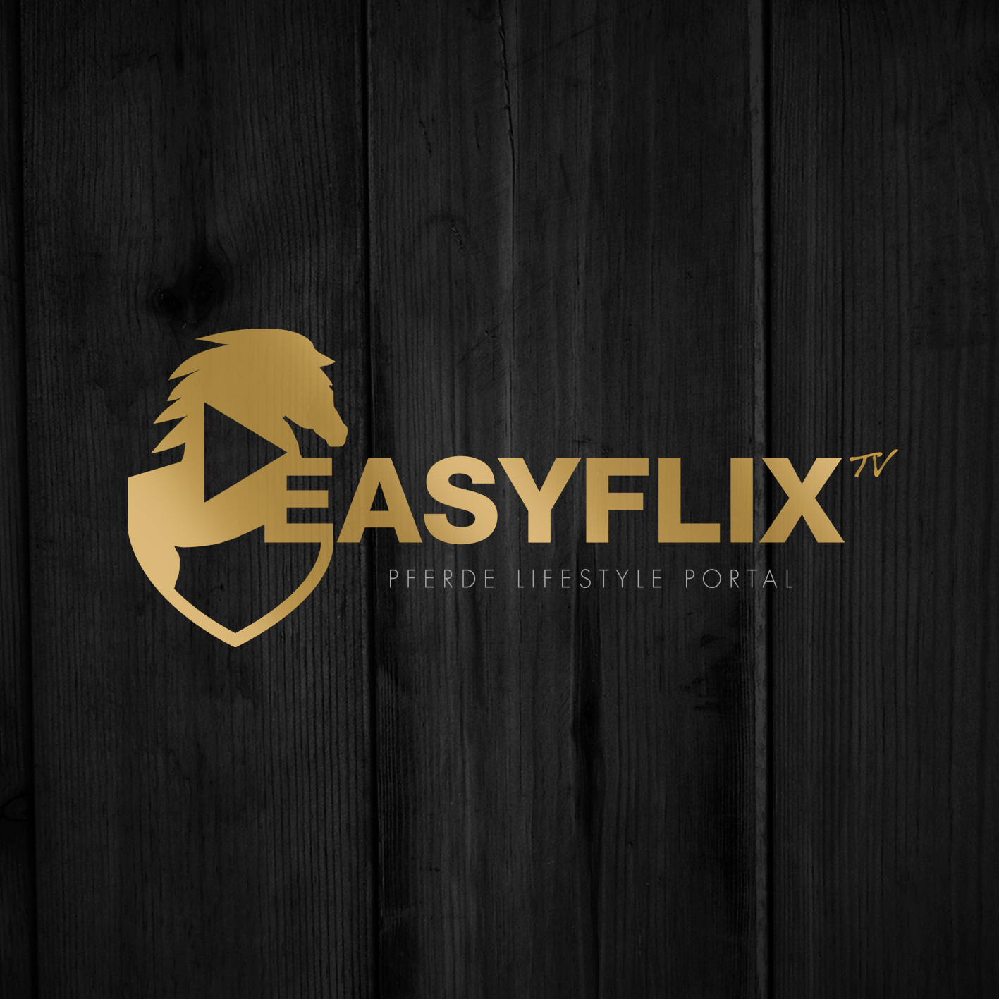 Logo-Easyflix-Tv-groß-Black-gold-Instapsd